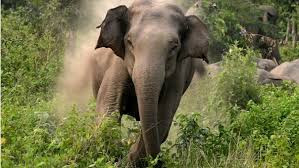 images 2022 03 29T181509.263 | ASSAM TIMES POST