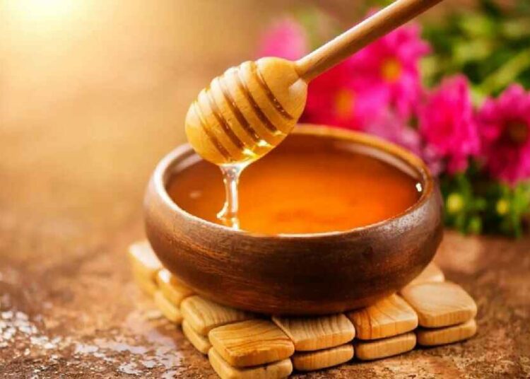 এচামুচ মৌৱে নিয়ন্ত্ৰণত ৰাখে তেজত শৰ্কৰাৰ মাত্ৰা, কলেষ্টেৰল : গৱেষণাত দাবী
