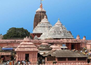পুৰীৰ জগন্নাথ মন্দিৰত নিগনিৰ তাণ্ডৱ, বিপদত কৰ্তৃপক্ষ 2 পুৰীৰ জগন্নাথ মন্দিৰত নিগনিৰ তাণ্ডৱ, বিপদত কৰ্তৃপক্ষ