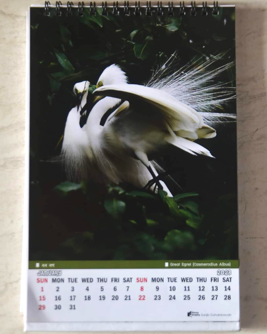 Assam Governor releases calendar on birds : 3 Assam Governor