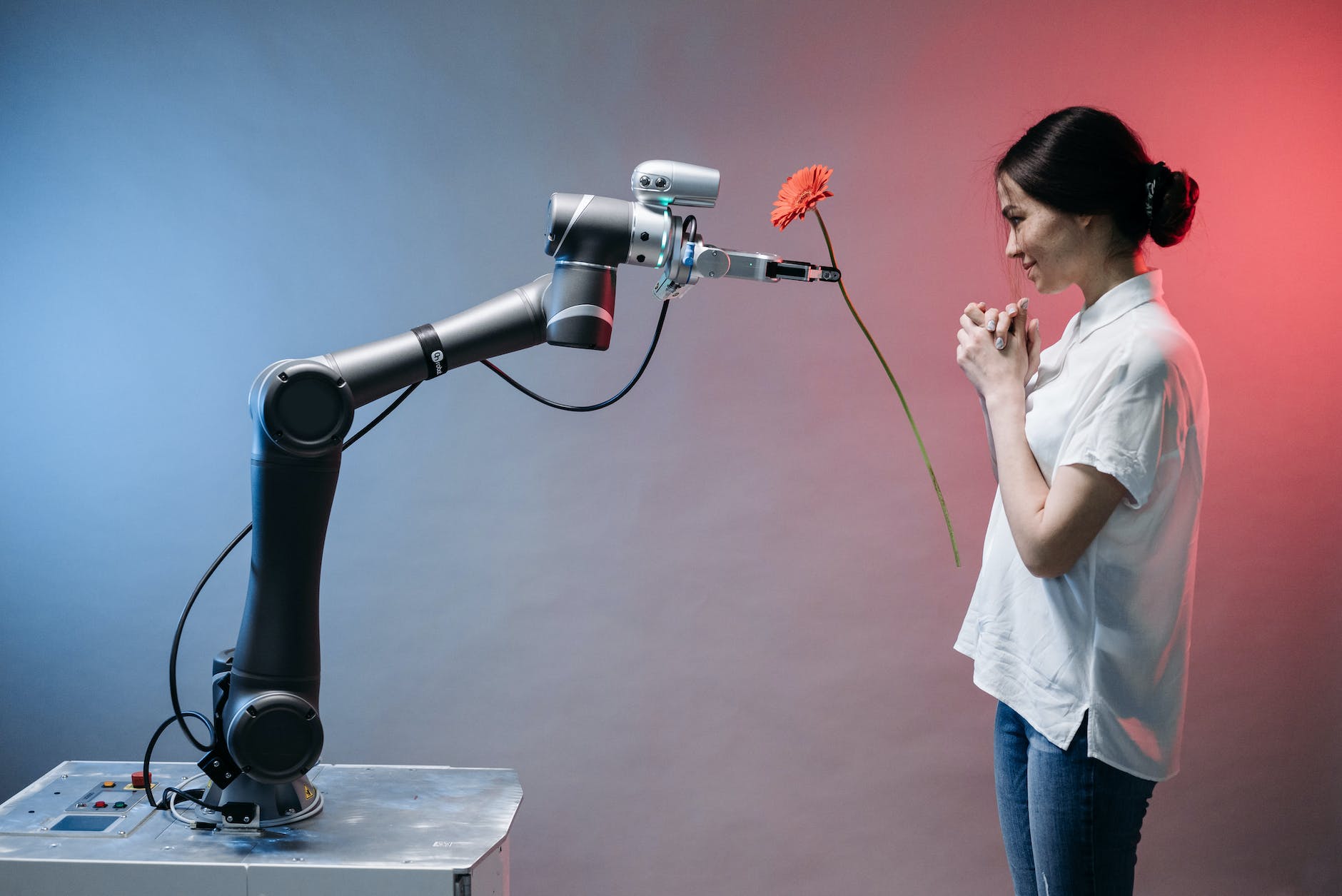 Unleashing the Potential of AI