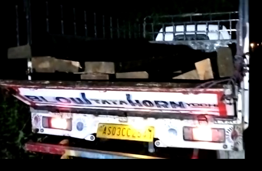 Seized valuable smuggled timber I বোকাখাতত চোৰাং কাঠ ভৰ্তি গাড়ী জব্দ 3 গাড়ী জব্দ