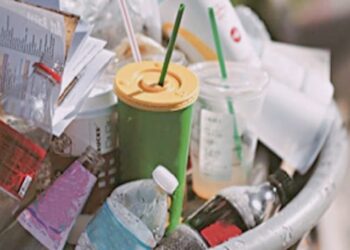 Nagaland Govt. bans single use of plastic I নাগালেণ্ডত সম্পূৰ্ণ নিষিদ্ধ প্লাষ্টিক, ঘৰত ৰাখিলেও ভৰিব লাগিব জৰিমনা