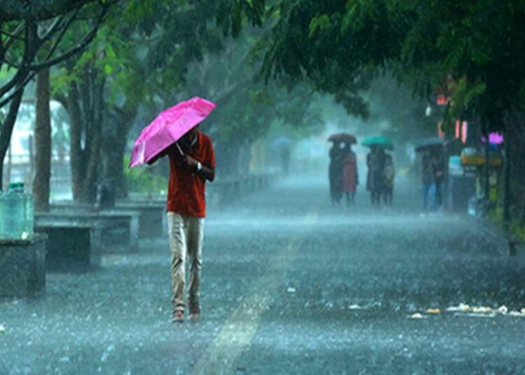 Weather Center has mentioned the possibility of rain and severe storms in several districts of the state 1 Weather Center has mentioned the possibility of rain and severe storms in several districts of the state