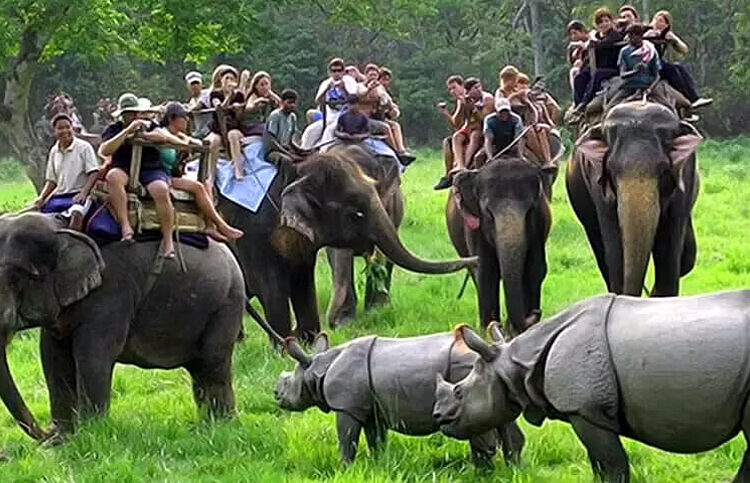 Kaziranga national park : পৰ্যটকৰ ক্ষেত্ৰত অভিলেখ সৃষ্টি কাজিৰঙা ৰাষ্ট্ৰীয় উদ্যানৰ 1 Kaziranga national park : পৰ্যটকৰ ক্ষেত্ৰত অভিলেখ সৃষ্টি কাজিৰঙা ৰাষ্ট্ৰীয় উদ্যানৰ