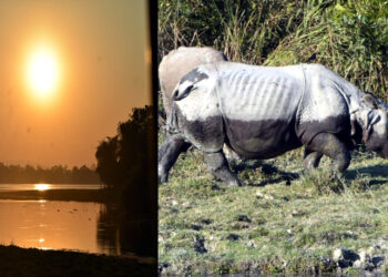 Kaziranga National Park : আজিৰে পৰা বন্ধ হ'ব কাজিৰঙাৰ ২০২৩-২৪ পৰ্যটন বৰ্ষ : ৯ কোটি টকাৰ ৰাজহ লাভেৰে পূৰ্বৰ অভিলেখ ভংগ 1 Kaziranga National Park : আজিৰে পৰা বন্ধ হ’ব কাজিৰঙাৰ ২০২৩-২৪ পৰ্যটন বৰ্ষ : ৯ কোটি টকাৰ ৰাজহ লাভেৰে পূৰ্বৰ অভিলেখ ভংগ