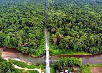 Poba Reserve Forest to Become Assam’s 18th Wildlife Sanctuary