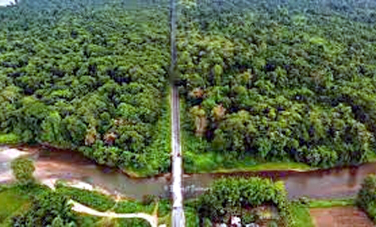 Poba Reserve Forest to Become Assam’s 18th Wildlife Sanctuary 1 Poba Reserve Forest to Become Assam’s 18th Wildlife Sanctuary