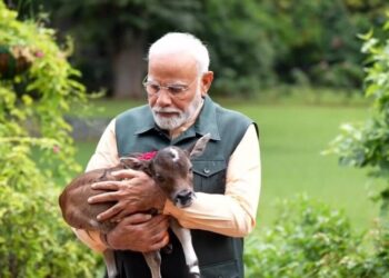 Heartwarming! Himanta Biswa Sarma Declares PM Modi’s Adorable Calf Moment the ‘Cutest Video on the Internet!’