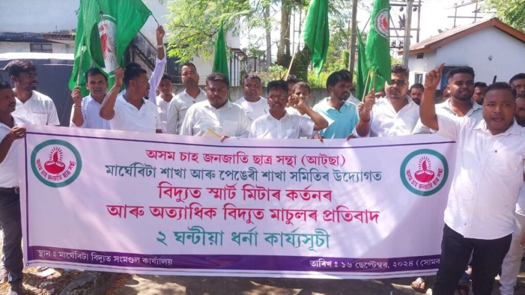 Outraged Assam Tea Tribes Students Rally Against Smart Meters: A Fight for Justice 3 Smart Meters