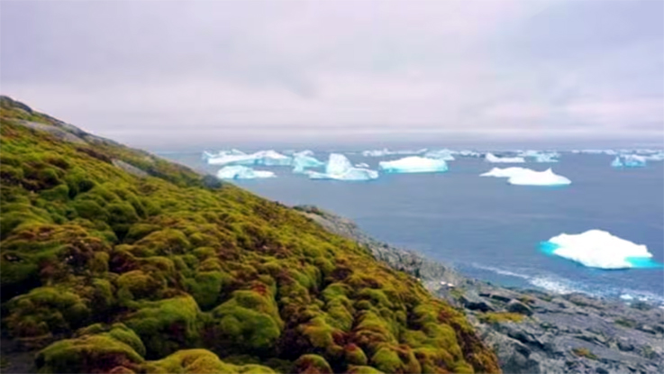 Antarctica : চৰিত্ৰ সলনি হৈছে এন্টাৰ্কটিকাৰ, নতুন বিপদৰ আশংকা পৰিৱেশবিদৰ 1 Antarctica : চৰিত্ৰ সলনি হৈছে এন্টাৰ্কটিকাৰ, নতুন বিপদৰ আশংকা পৰিৱেশবিদৰ