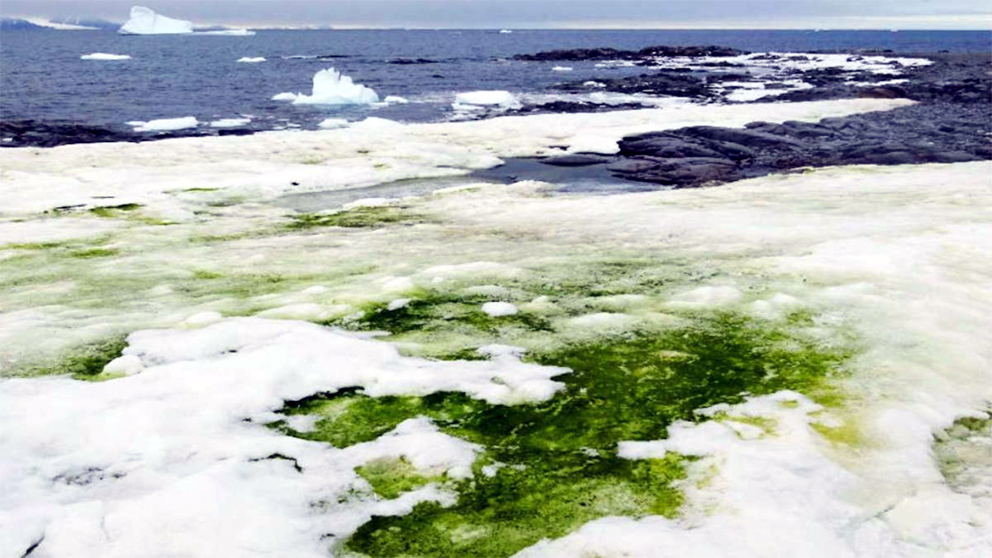 Antarctica : চৰিত্ৰ সলনি হৈছে এন্টাৰ্কটিকাৰ, নতুন বিপদৰ আশংকা পৰিৱেশবিদৰ 3 antertica 1 | ASSAM TIMES POST