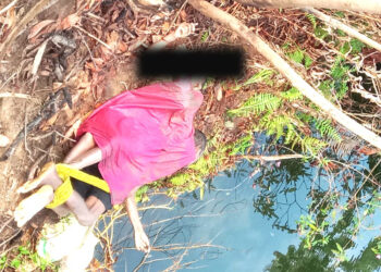 নামবৰ নদী চাহবাগিচাত চাঞ্চল্যকৰ হত্যাকাণ্ড: পিতৃ-মাতৃক নৃশংস হত্যা, তিনি সন্তান গুৰুতৰভাৱে আহত 