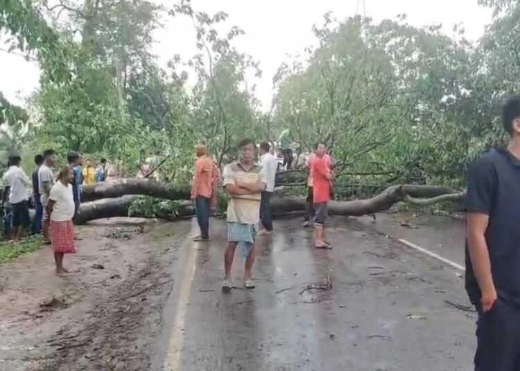 ধুমুহাৰ প্ৰচণ্ড আক্ৰমণ: ডিফু মাঞ্জা পথৰ ৯ মাইল অঞ্চলত বিস্তৰ ক্ষতি 1 ধুমুহাৰ প্ৰচণ্ড আক্ৰমণ: ডিফু মাঞ্জা পথৰ ৯ মাইল অঞ্চলত বিস্তৰ ক্ষতি