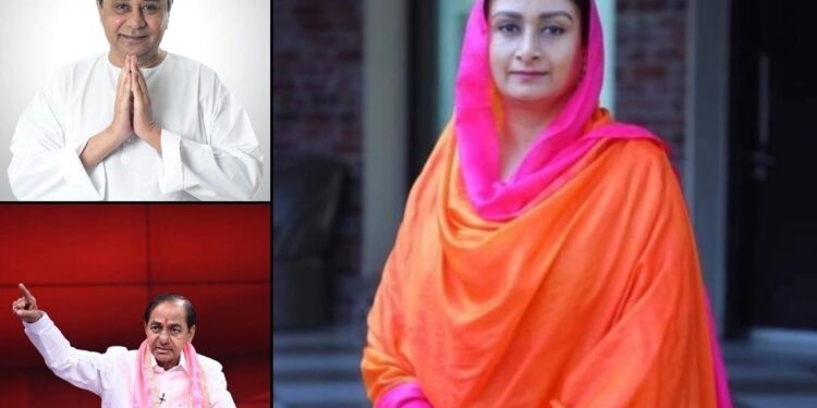 Why Three Parties Chose to Abstain from Vice Presidential Voting